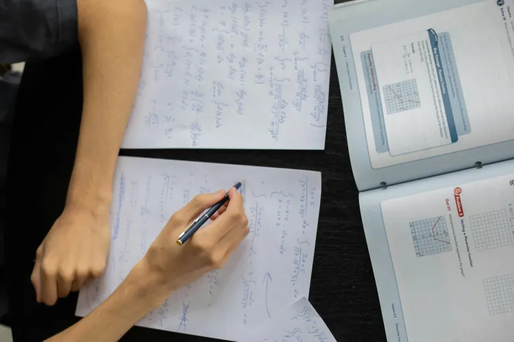 Algebra. Lygčių sistemos.
