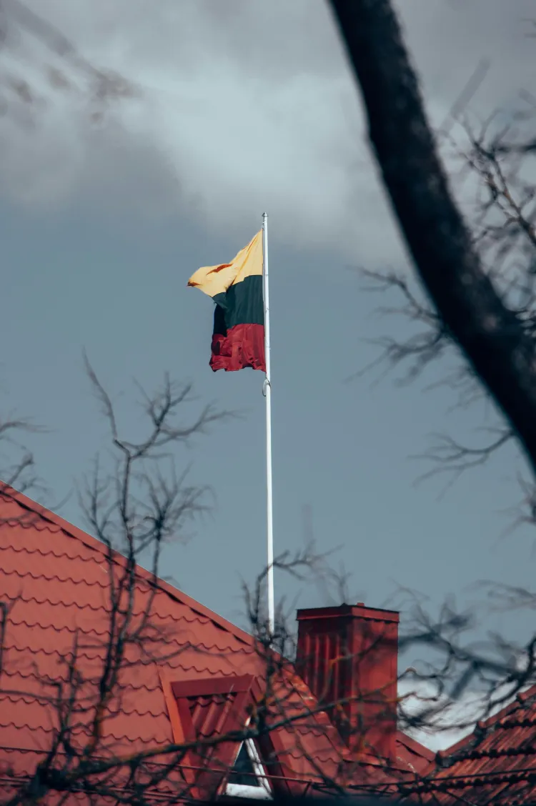 Pirmosios ir antrosios Lietuvos Respublikų valstybingumo raidos ypatumai.