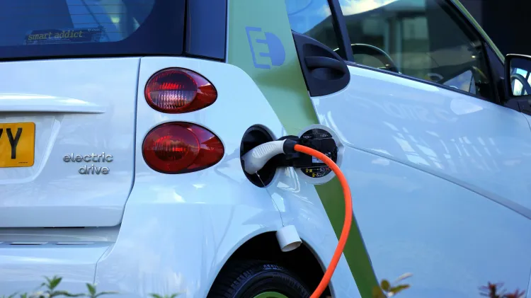 Naujų energijos šaltinių ir transporto sistemos plėtros poveikis gamtinei aplinkai XIX–XX a. pr.