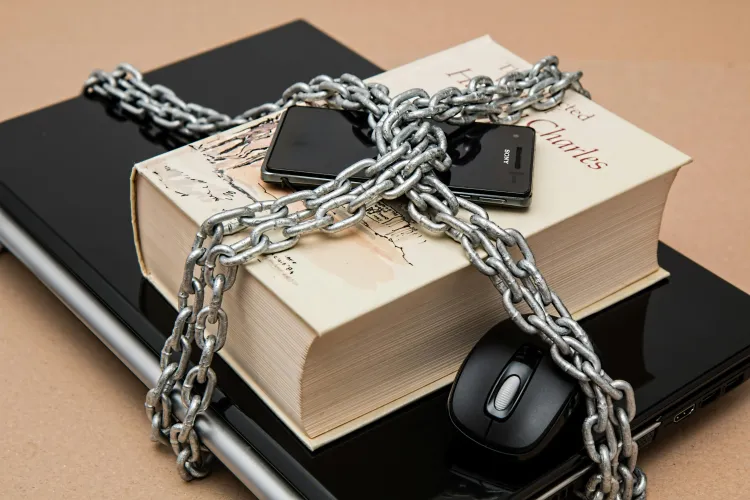 Duomenų ir informacijos privatumo, patikimumo problemos.