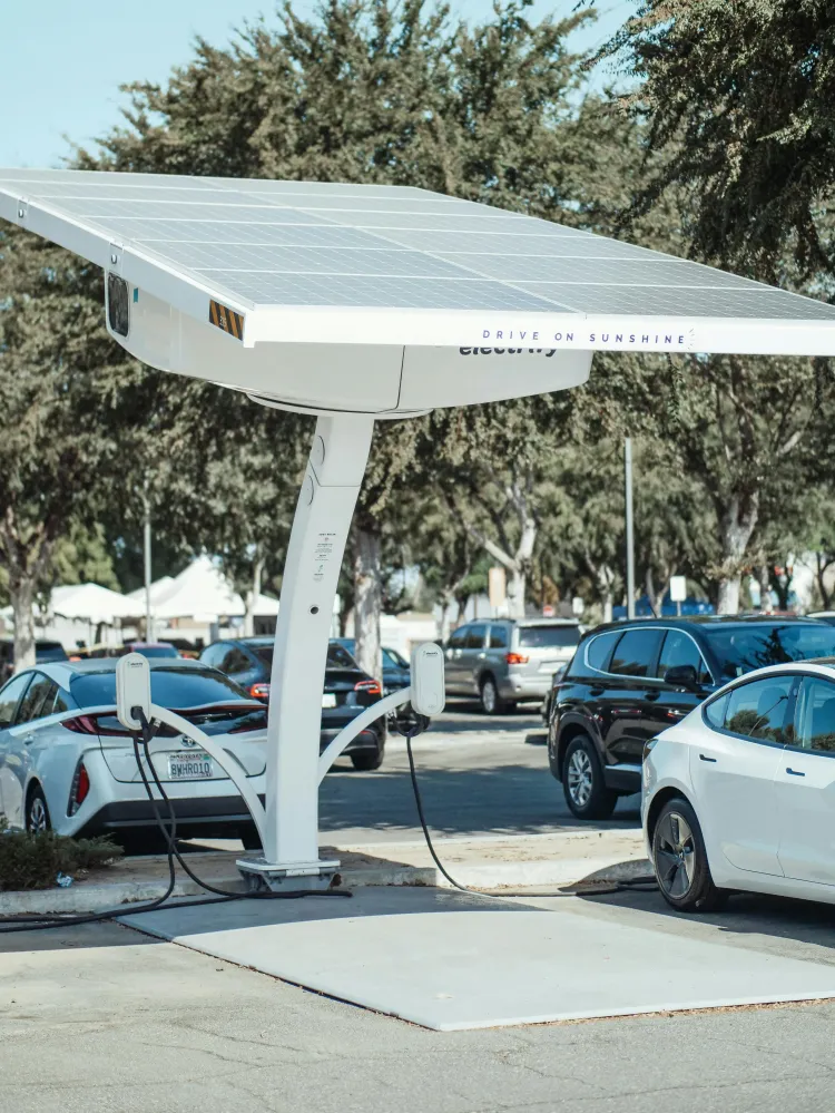 Naujų energijos šaltinių ir transporto sistemos plėtros poveikis gamtinei aplinkai XIX–XX a. pr.