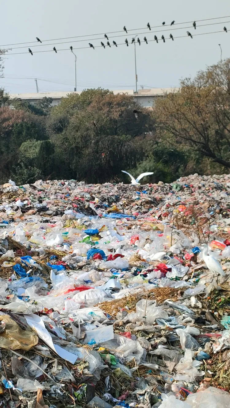 Globali klimato kaita kaip XX–XXI a. sandūros pasaulinė politinė problema.