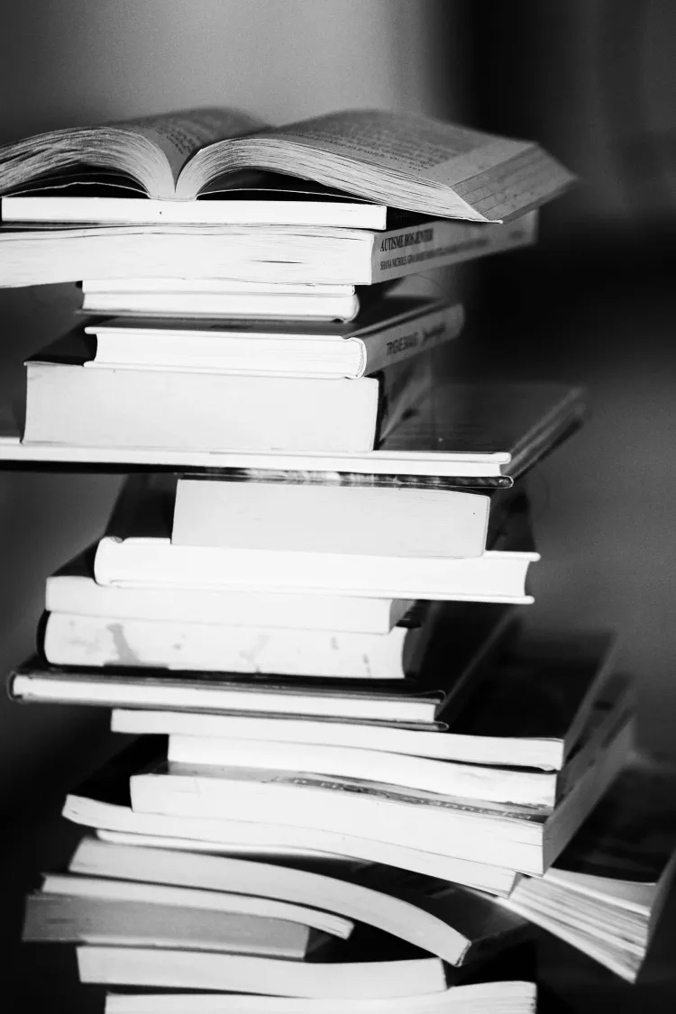 2024 m. NMPP lietuvių kalba ir literatūra (skaitymas) 8 kl. (IS) I srautas