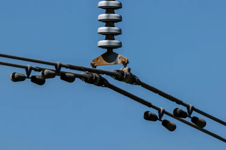 Elektra ir magnetizmas. Nuolatinė elektros srovė. 8 klasė.