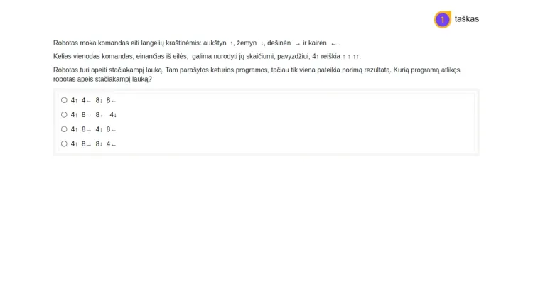 Programos testavimas ir tobulinimas.